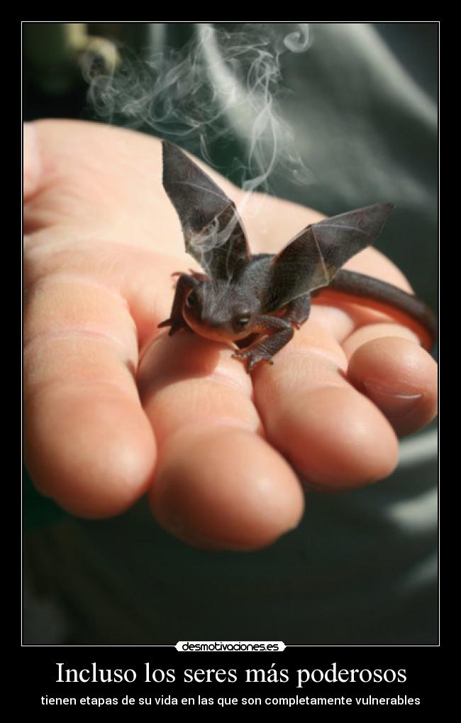Incluso los seres más poderosos - 
