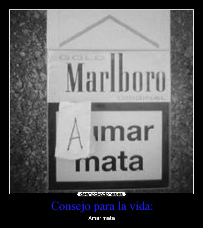 Consejo para la vida: - Amar mata