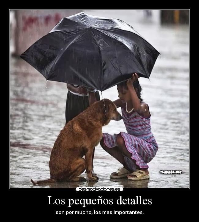 Los pequeños detalles - son por mucho, los mas importantes.