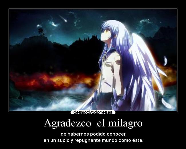 Agradezco  el milagro - 