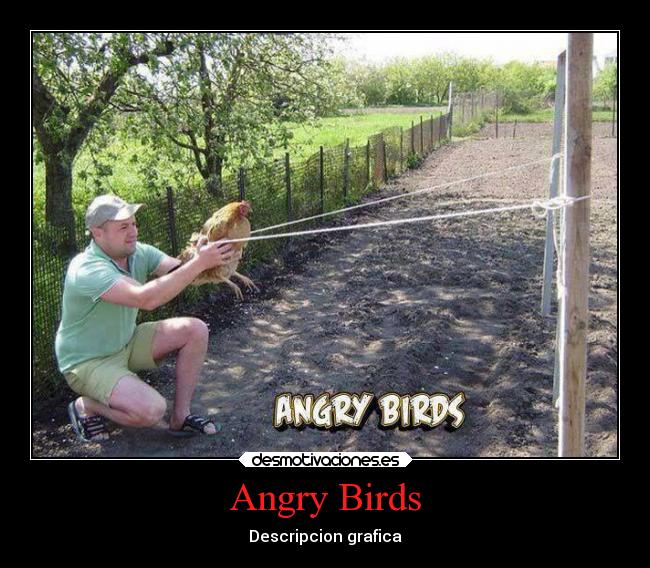 Angry Birds - Descripcion grafica