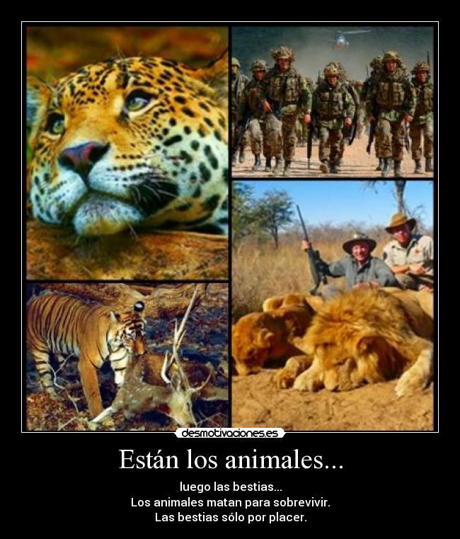 Están los animales... - luego las bestias...
Los animales matan para sobrevivir.
Las bestias sólo por placer.
