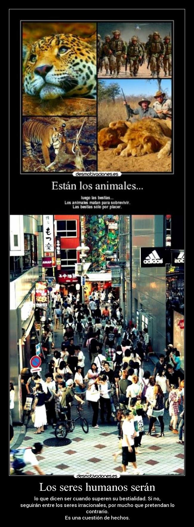 Los seres humanos serán - lo que dicen ser cuando superen su bestialidad. Si no,
seguirán entre los seres irracionales, por mucho que pretendan lo contrario.
Es una cuestión de hechos.