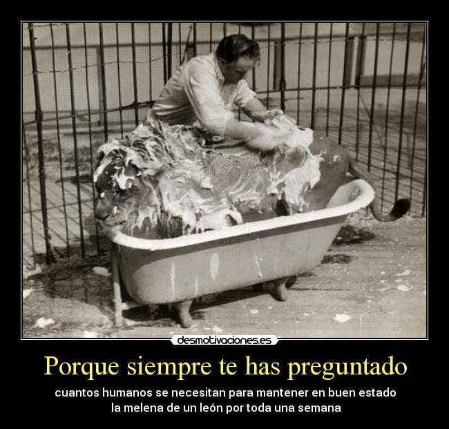 carteles uno medio mentira nadie pregunta esas mierdas desmotivaciones