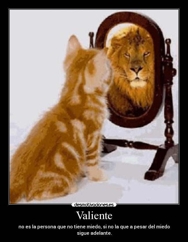 carteles vida desmotivaciones