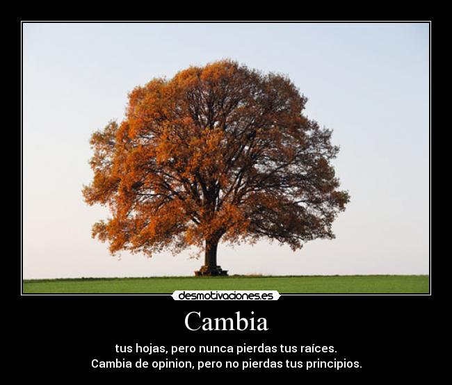 Cambia -