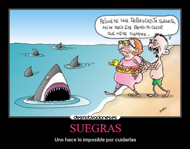 SUEGRAS - 