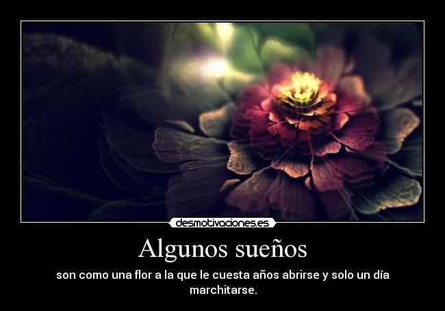 Algunos sueños -
