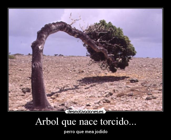 Arbol que nace torcido... - perro que mea jodido