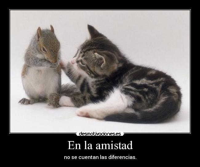 En la amistad - no se cuentan las diferencias.