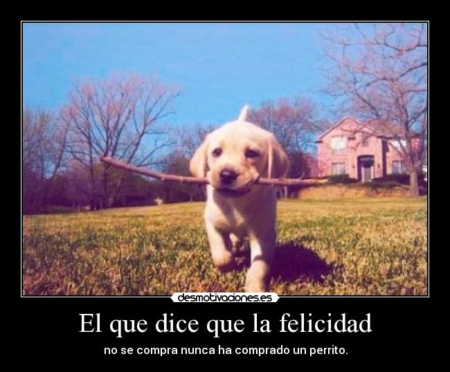 El que dice que la felicidad - no se compra nunca ha comprado un perrito.