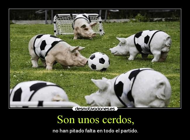 carteles criticas animales humor futbol sonrisa imaginacion putos cerdos culeros ramonysucamion desmotivaciones