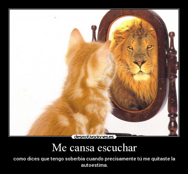 carteles falsa desmotivaciones