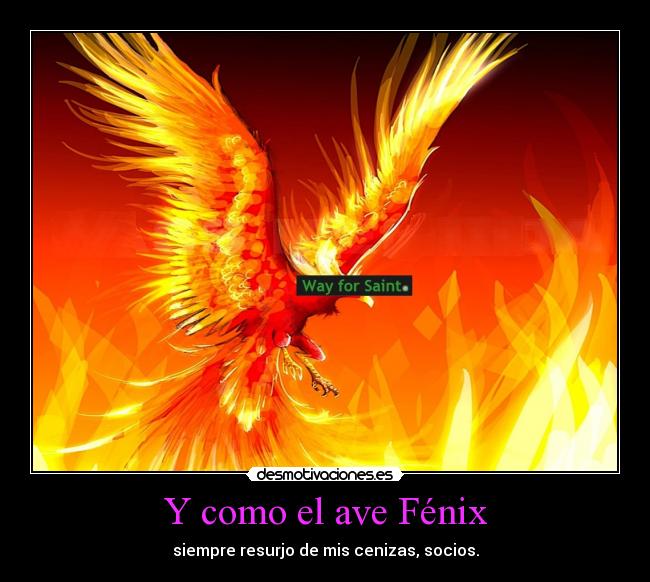 Y como el ave Fénix - 