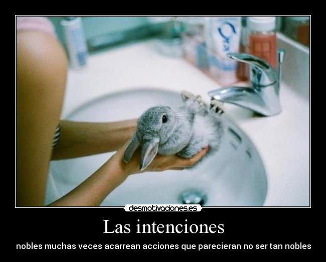 Las intenciones - 