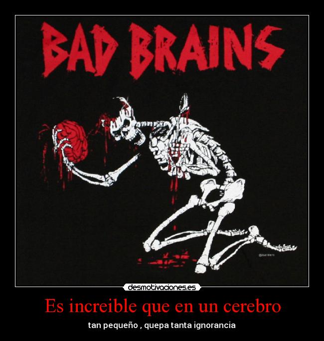 Es increible que en un cerebro - tan pequeño , quepa tanta ignorancia