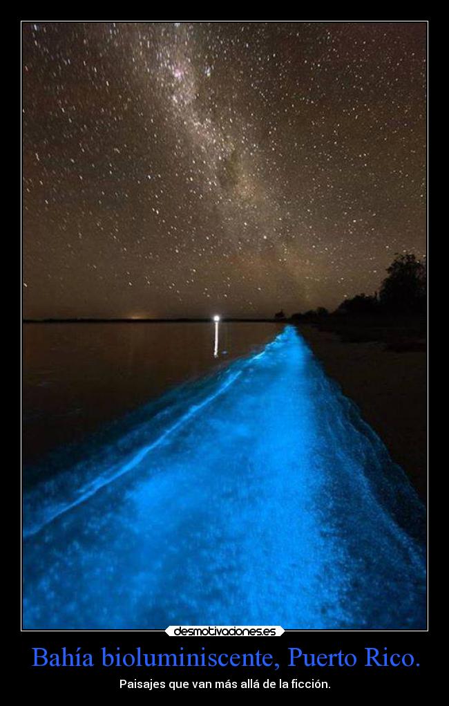 Bahía bioluminiscente, Puerto Rico. - Paisajes que van más allá de la ficción.