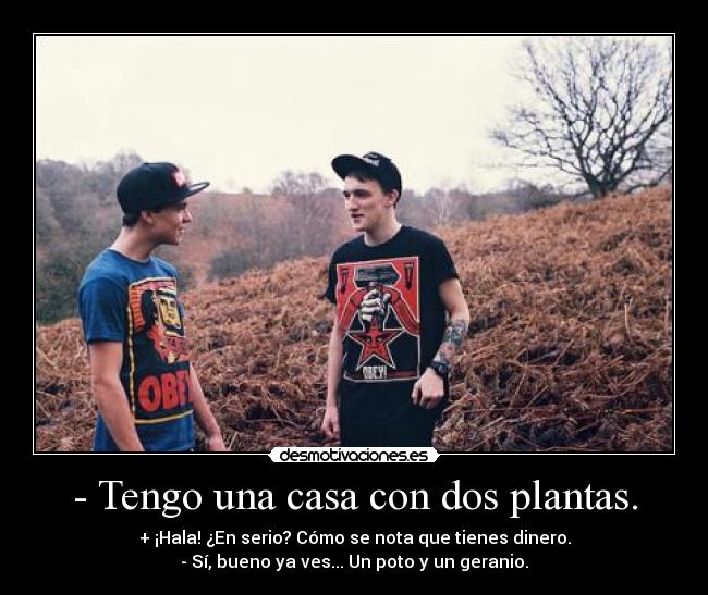 - Tengo una casa con dos plantas. - + ¡Hala! ¿En serio? Cómo se nota que tienes dinero.
- Sí, bueno ya ves... Un poto y un geranio.