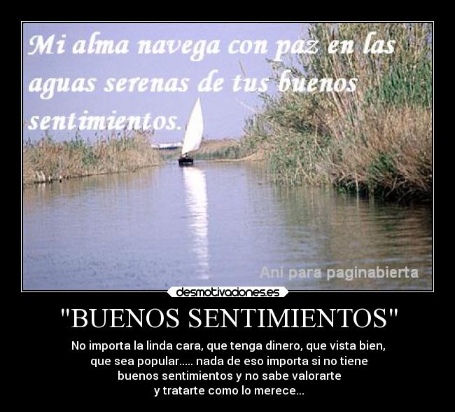 carteles sentimientos amor buenos sentimientos desmotivaciones