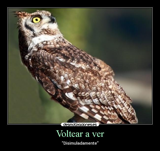 Voltear a ver - Disimuladamente