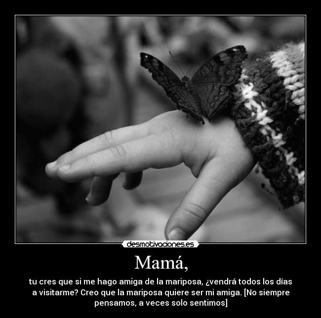 Mamá, - tu cres que si me hago amiga de la mariposa, ¿vendrá todos los días
a visitarme? Creo que la mariposa quiere ser mi amiga. [No siempre
pensamos, a veces solo sentimos]