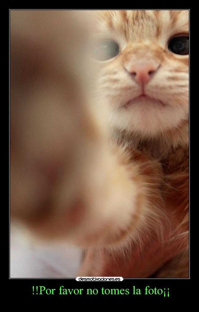 !!Por favor no tomes la foto¡¡ -