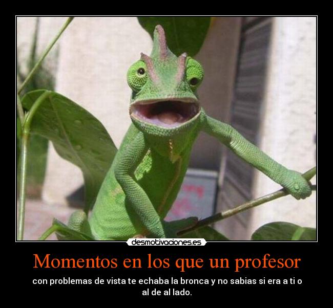 Momentos en los que un profesor - con problemas de vista te echaba la bronca y no sabias si era a ti o
al de al lado.