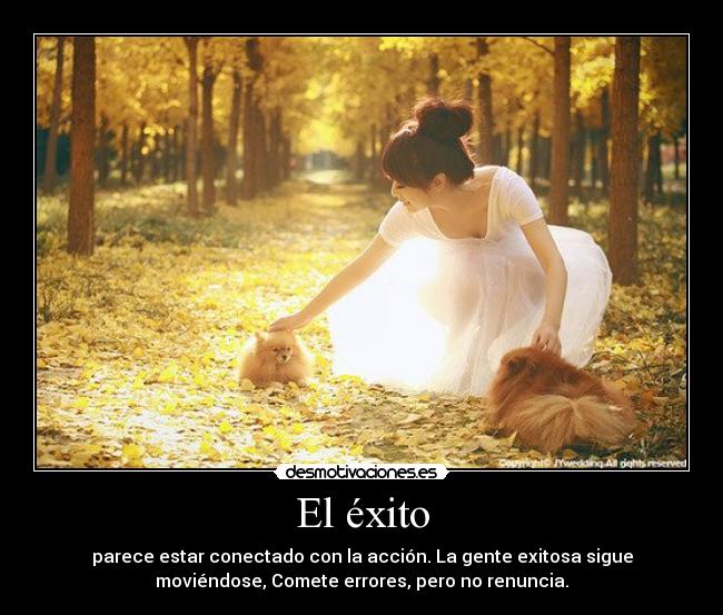 El éxito - parece estar conectado con la acción. La gente exitosa sigue
moviéndose, Comete errores, pero no renuncia.