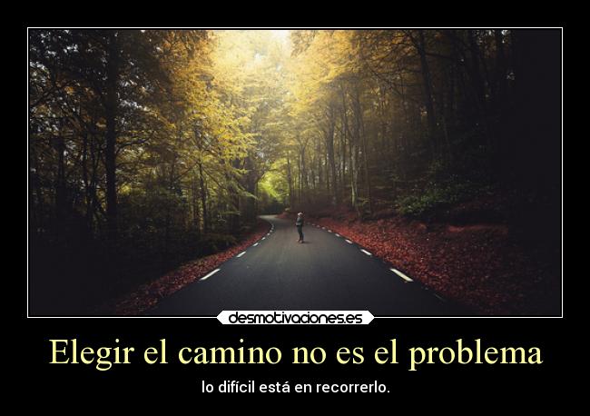 carteles elcaminodelavida desmotivaciones