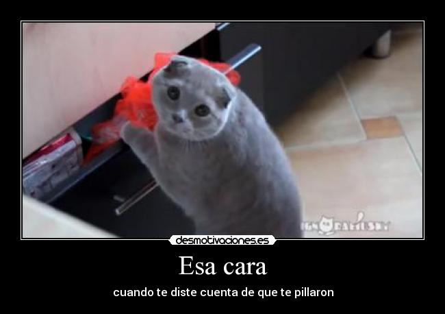 Esa cara - cuando te diste cuenta de que te pillaron