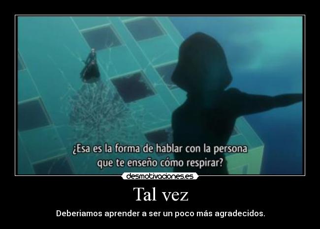 Tal vez - Deberiamos aprender a ser un poco más agradecidos.