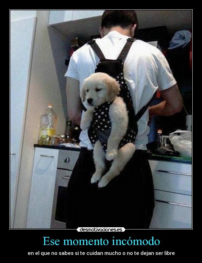 Ese momento incómodo - en el que no sabes si te cuidan mucho o no te dejan ser libre