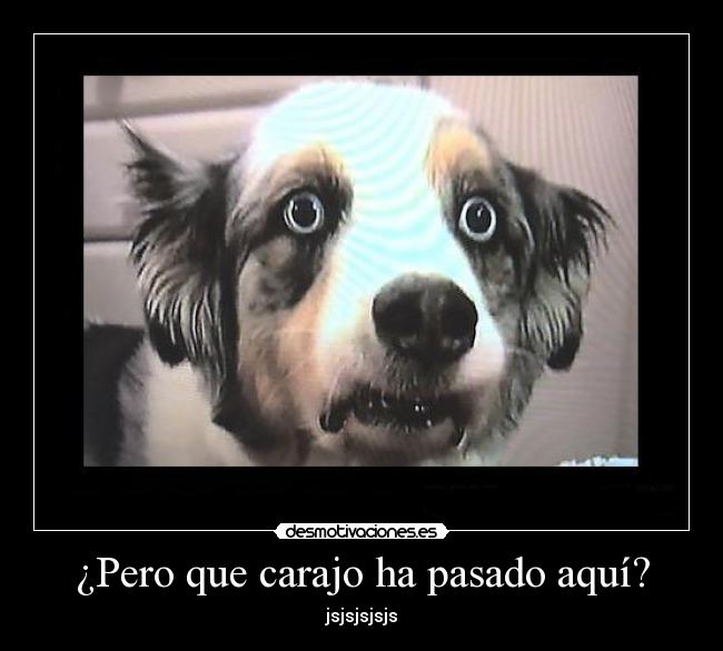 ¿Pero que carajo ha pasado aquí? - jsjsjsjsjs