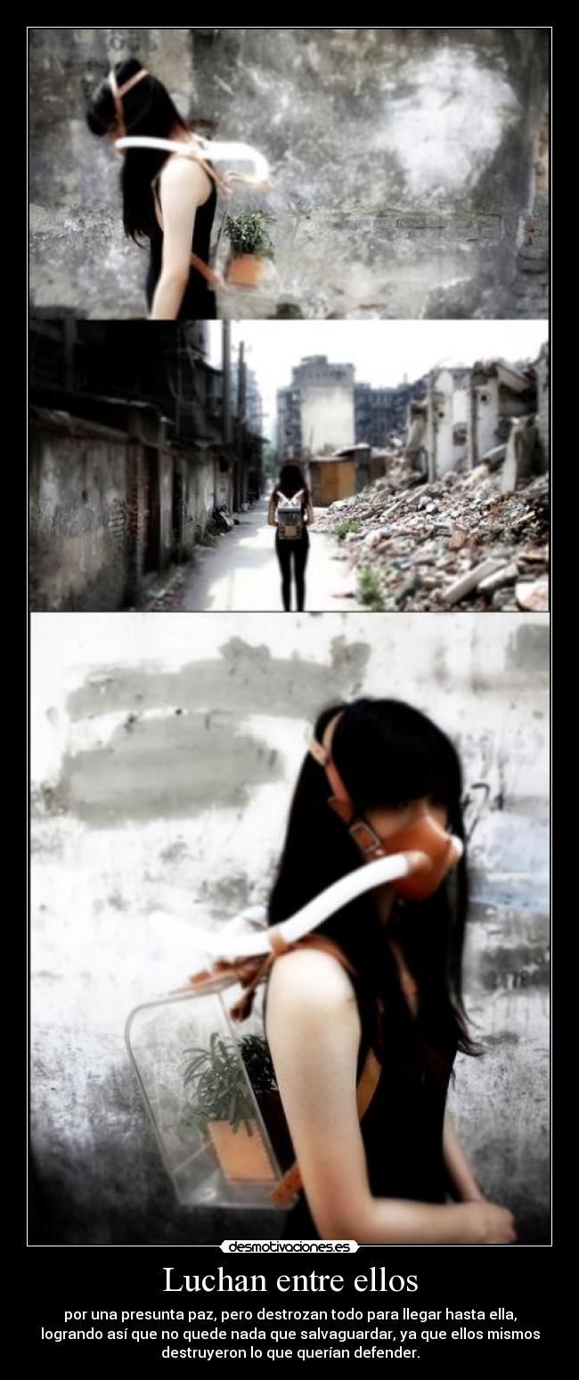 Luchan entre ellos -