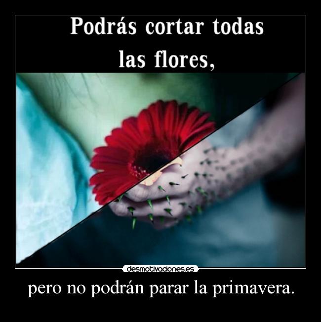 pero no podrán parar la primavera. -