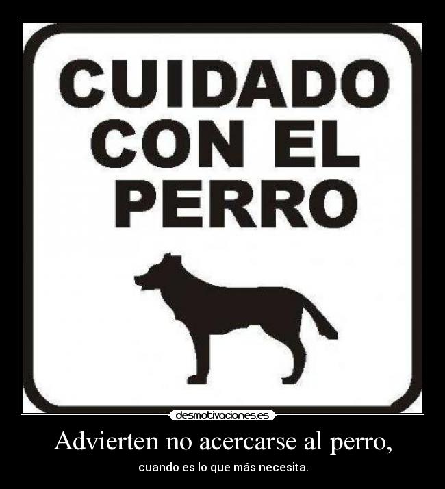 Advierten no acercarse al perro, - cuando es lo que más necesita.