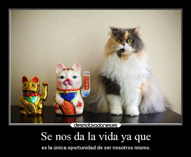 Se nos da la vida ya que - es la única oportunidad de ser nosotros mismo.