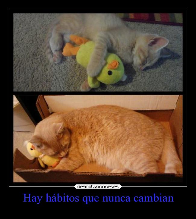 Hay hábitos que nunca cambian - 