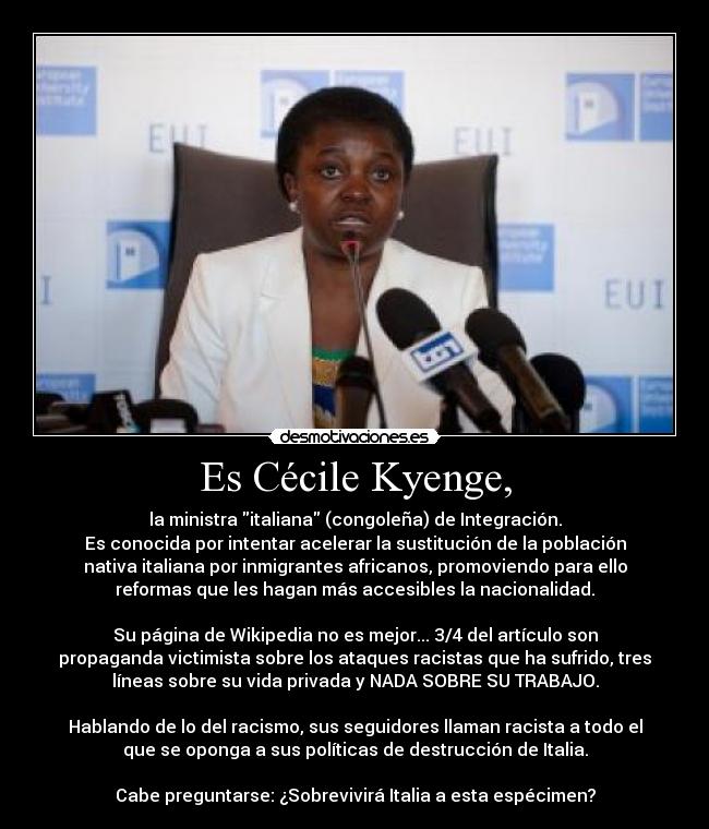 Es Cécile Kyenge, - la ministra italiana (congoleña) de Integración.
Es conocida por intentar acelerar la sustitución de la población
nativa italiana por inmigrantes africanos, promoviendo para ello
reformas que les hagan más accesibles la nacionalidad.
Su página de Wikipedia no es mejor... 3/4 del artículo son
propaganda victimista sobre los ataques racistas que ha sufrido, tres
líneas sobre su vida privada y NADA SOBRE SU TRABAJO.
Hablando de lo del racismo, sus seguidores llaman racista a todo el
que se oponga a sus políticas de destrucción de Italia.
Cabe preguntarse: ¿Sobrevivirá Italia a esta espécimen?