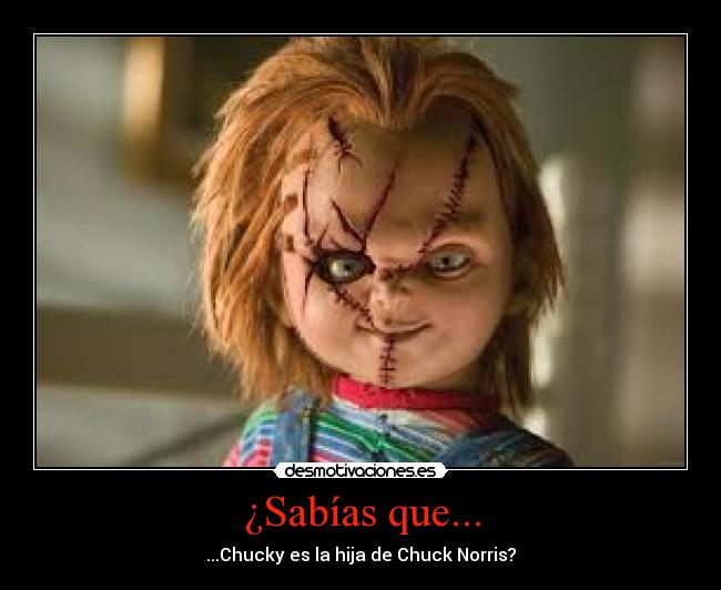 ¿Sabías que... - ...Chucky es la hija de Chuck Norris?