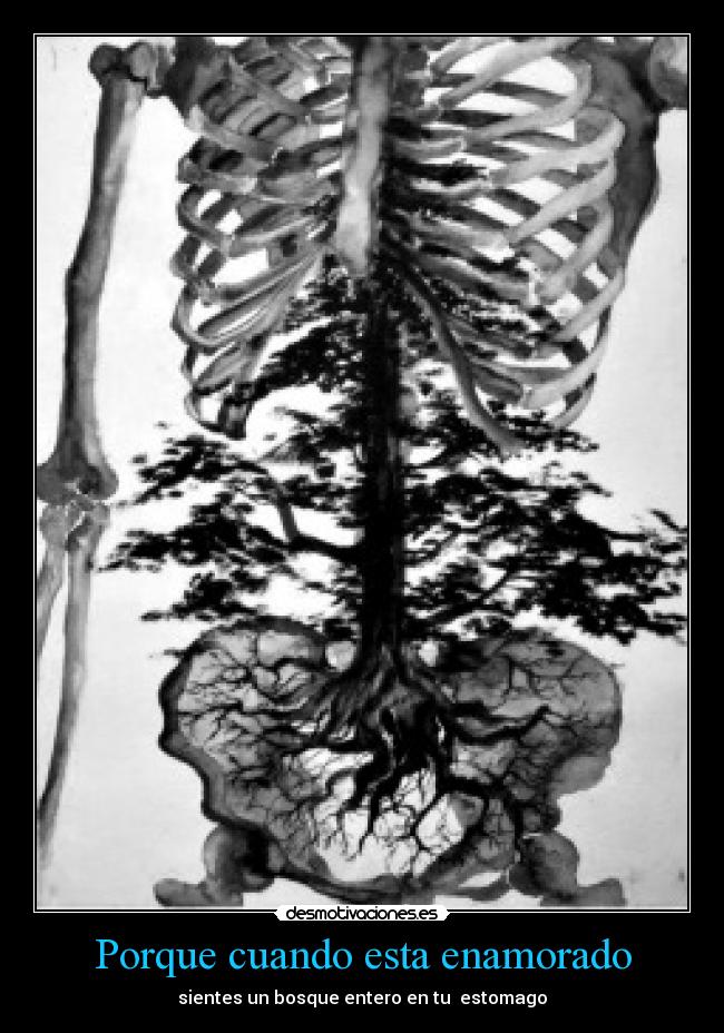 Porque cuando esta enamorado -