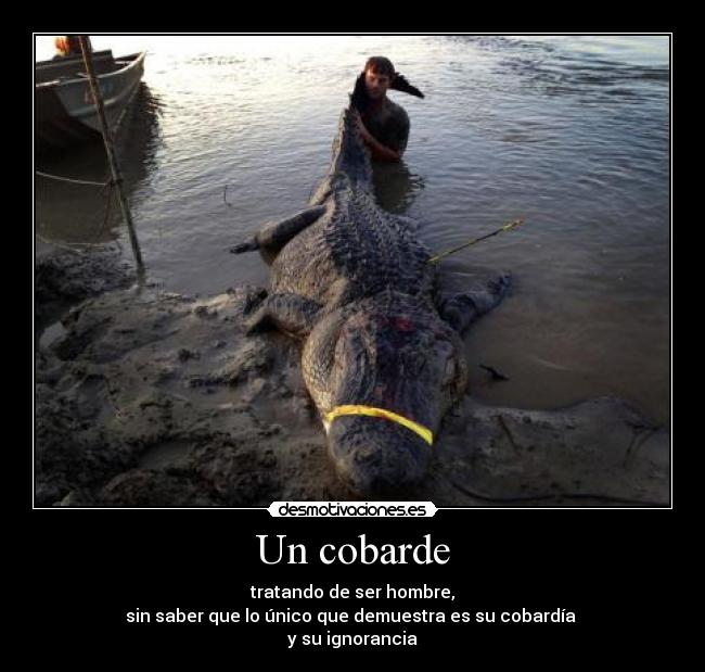Un cobarde - 