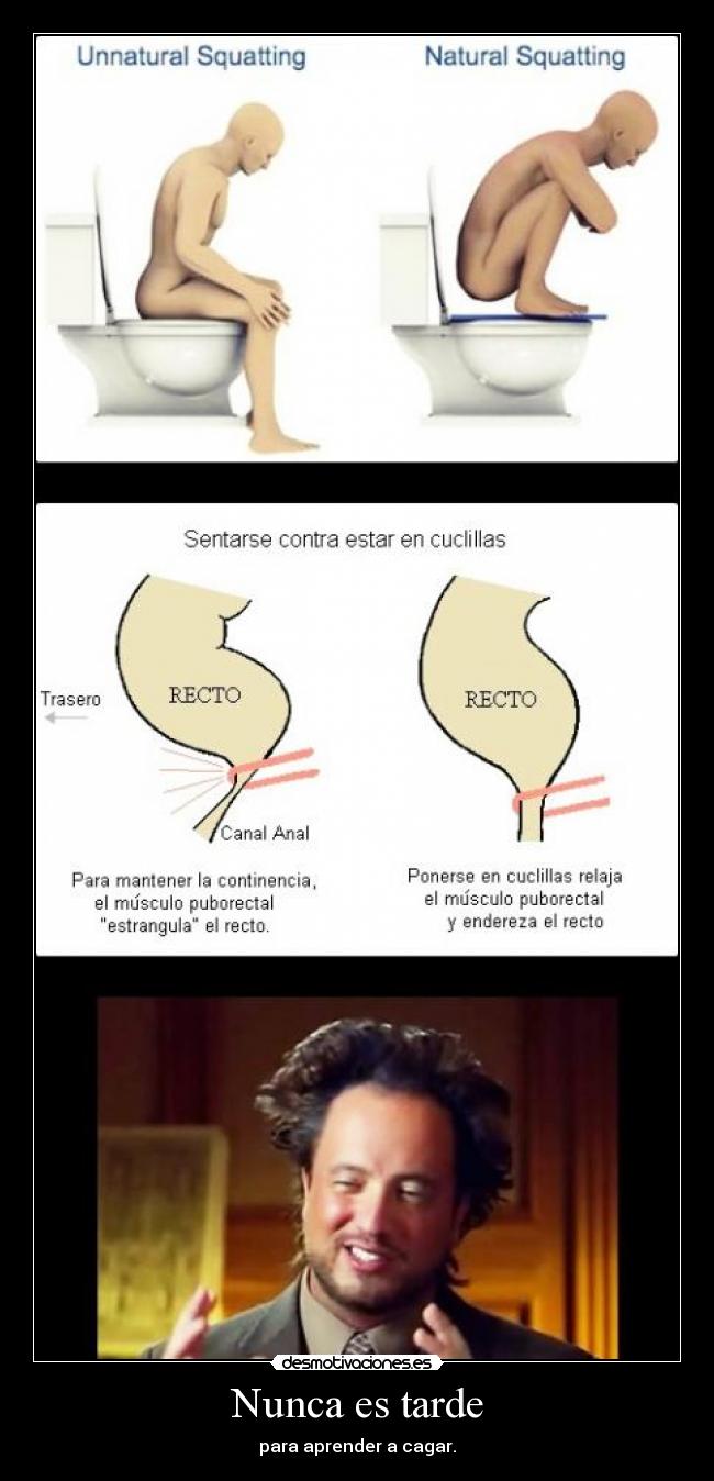 Nunca es tarde - para aprender a cagar.