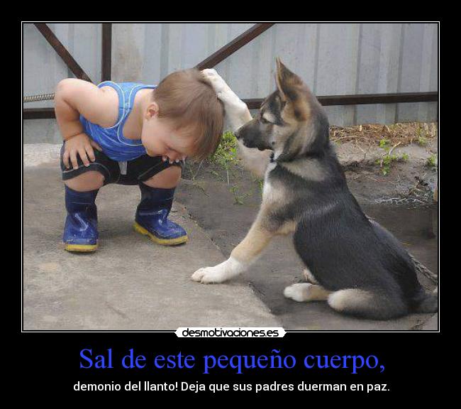 Sal de este pequeño cuerpo, - 