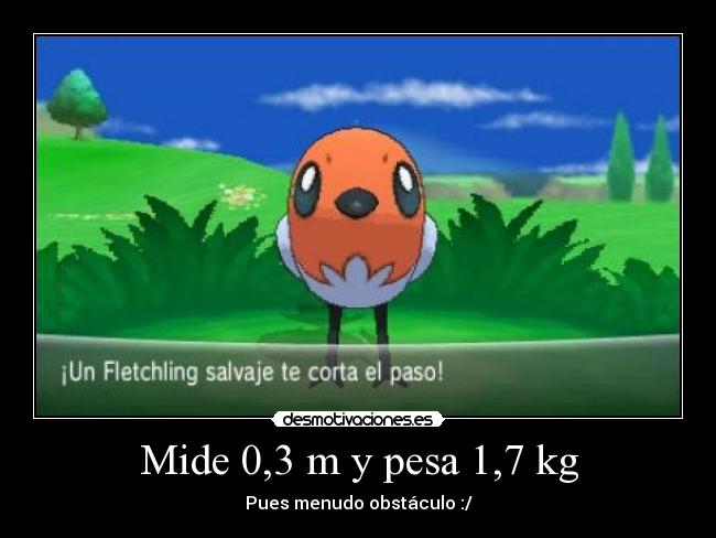 Mide 0,3 m y pesa 1,7 kg -