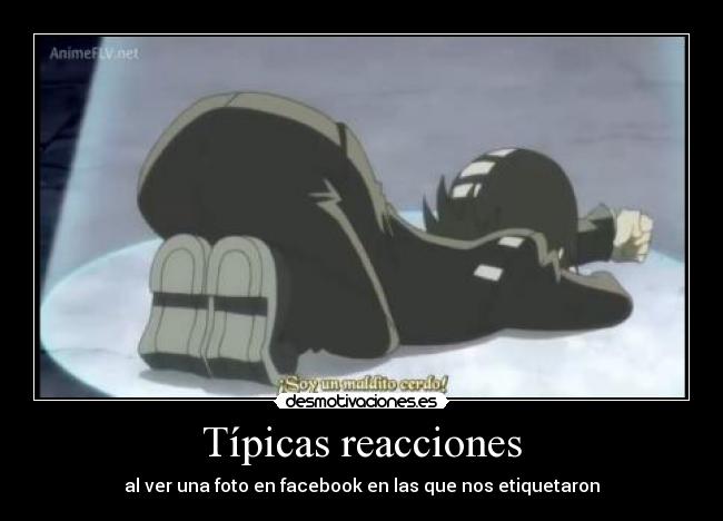 Típicas reacciones - 