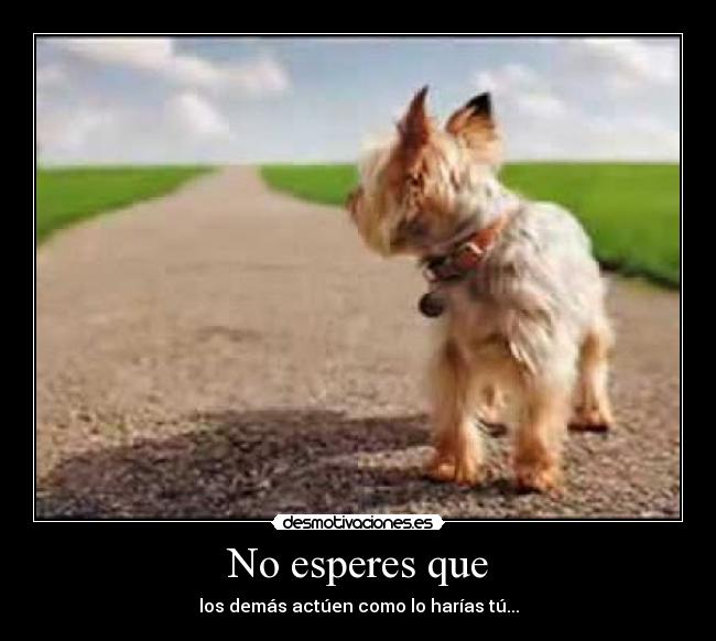 No esperes que - los demás actúen como lo harías tú...