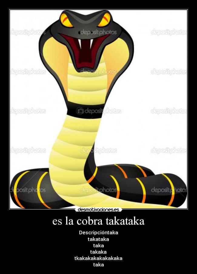 es la cobra takataka - Descripcióntaka
takataka
taka
takaka
tkakakakakakakaka
taka