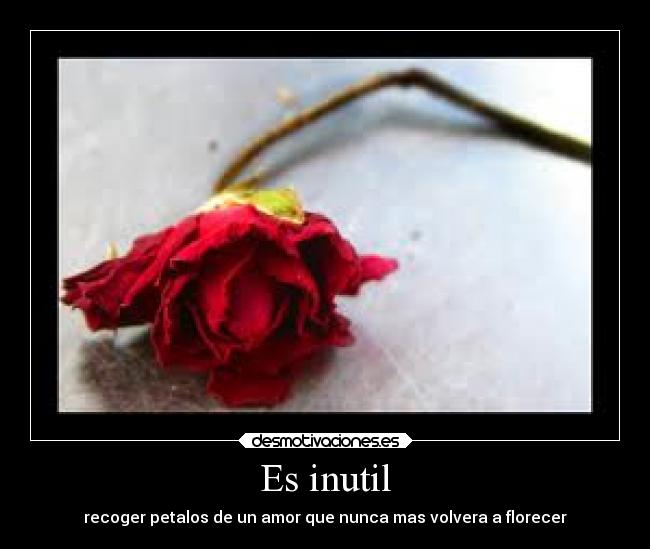 Es inutil -