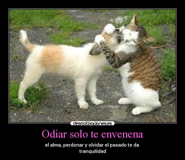 Odiar solo te envenena - el alma, perdonar y olvidar el pasado te da
tranquilidad